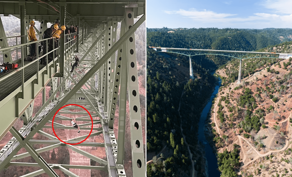 california bridge rescue